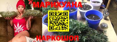 мдпв Владивосток