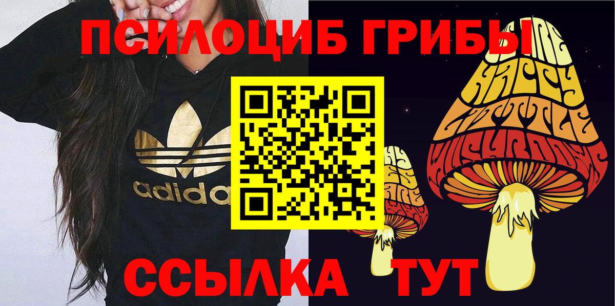 Галлюциногенные грибы мицелий Острогожск