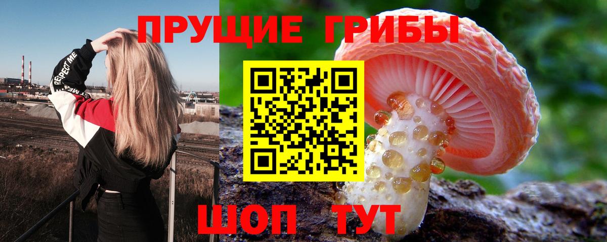 Острогожск  Псилоцибиновые грибы Psilocybine cubensis  Вход с VPN  Псилоцибиновые грибы мицелий 